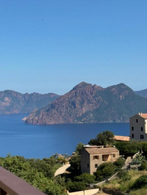 T3 de standing à Piana